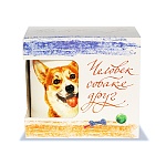 Кружка 420 мл. «Человек собаке друг» Вельш-корги  в подарочной коробке